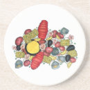 Search for clam coasters Seafood