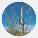 Search for national park round stickers Cactus