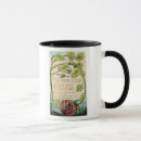 Search for innocence mugs William
