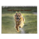Search for parent photography Pet