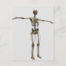 Search for skull illustration postcards Rib cage