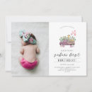 Search for elephant pictures invitations Lion