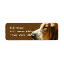 Search for basset return address labels Basset hound dog