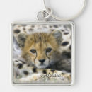 Search for cheetah cub key rings Wildlife