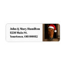 Search for stables return address labels Cute