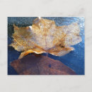 Search for autumn leaf postcards Nature