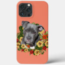 Search for pitbulls iphone cases Pitbull lover