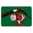 Search for falconry cards Falconer
