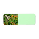 Search for wings return address labels Summer