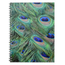 Search for peacock feathers notebooks Green