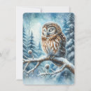 Search for snowy owl christmas cards Owls