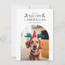 Search for mistletoe cards Modern