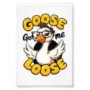 Search for honk if art Goose