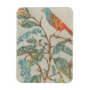 Search for avian magnets Animals