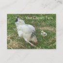 Search for feather chubby business cards Bird