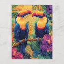 Search for bird of paradise postcards Watercolor