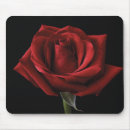 Search for red rose mouse Flowers
