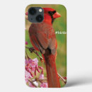 Search for cardinal cases Birding