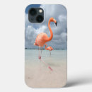 Search for aruba iphone cases Landscape