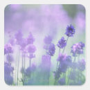 Search for two image template stickers Horizontal