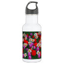 Search for tulip water bottles Flower