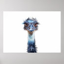 Search for emu posters Funny