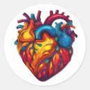 Search for human anatomy stickers Illustration