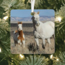 Search for horse christmas tree decorations Mare