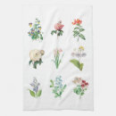Search for vintage botanical tea towels Illustration