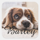 Search for dog print stickers Animal