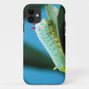 Search for caterpillar iphone cases Moth