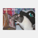 Search for cute rats photography Rodent