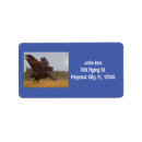 Search for fly labels Blue background