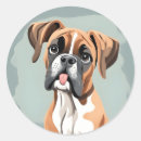 Search for boxer stickers Dogs