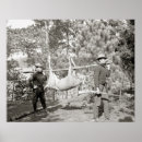 Search for hunting posters Vintage