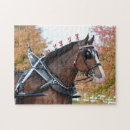 Search for clydesdale horses puzzles Equestrian