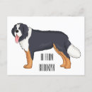 Search for mountain dog postcards Switzerland