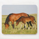 Search for colts mousepads Pony