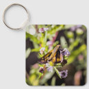 Search for butterfly pics key rings Flowers