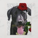 Search for rose leaves postcards Flowers