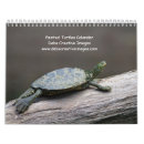 Search for turtle calendars Animal