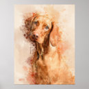 Search for vizsla posters Hungarian pointer