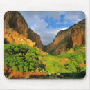 Search for canyons mousepads Scenic