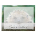Search for hedgehog notepads Mammal