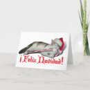 Search for love your cat cards Gravityx9