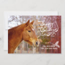 Search for chestnut horse cards Animals