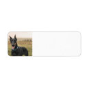 Search for doberman dog return address labels Dogs