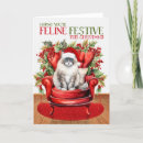 Search for ragdoll cat christmas cards Ragdolls