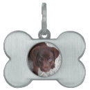 Search for christmas dog tags Cute