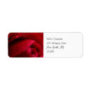 Search for dew cards invites Rose
